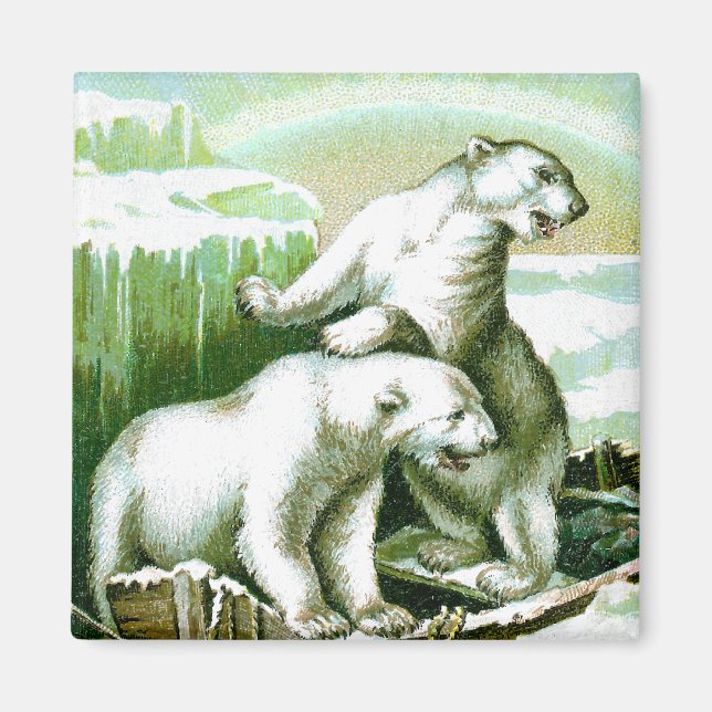 Aimant Ours polaires et aurores boréales (Devant)