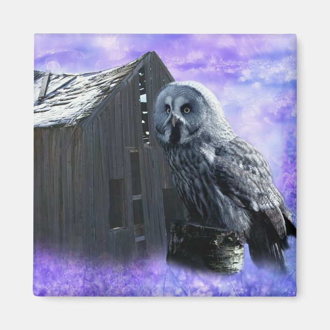 Aimant Owl Barn Shed (Devant)