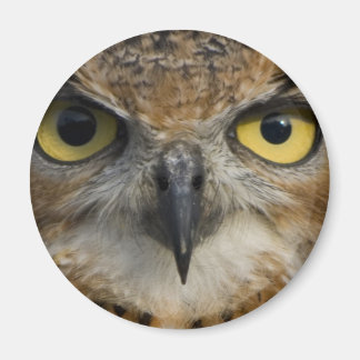 Aimant Owl Eyes