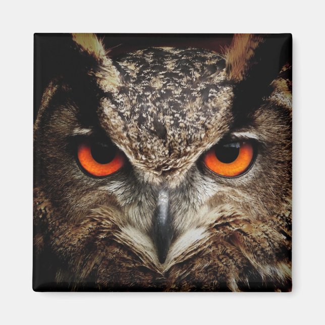 Aimant Owl with Orange Eyes Color (Devant)