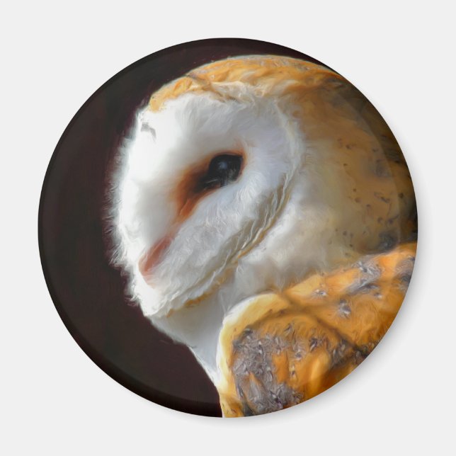 AIMANT OWLS (Devant)