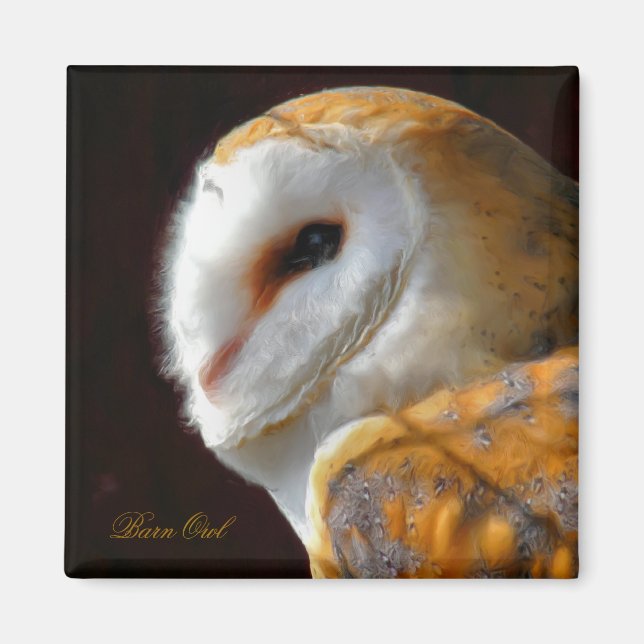 AIMANT OWLS (Devant)