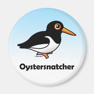 Aimant Oystersnatcher