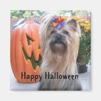 Aimant P1080884, Happy Halloween