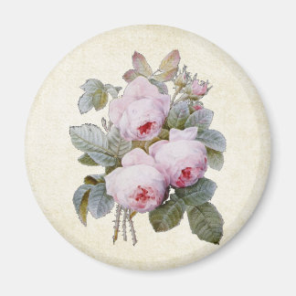 Aimant P.J. Redoute Bourbon Rose Bouquet