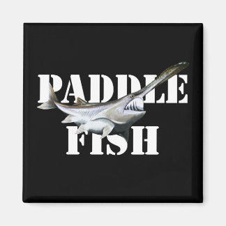 Aimant Paddle