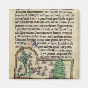 Aimant Page de Roy de texte avec l'illustration de