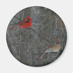 Aimant Paires cardinales