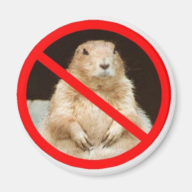 Aimant pairiedoggin (Devant)