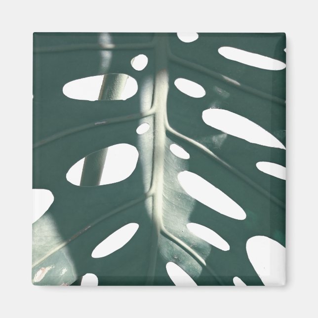 Aimant Pale Green Pastel Fromage Suisse Plante (Devant)