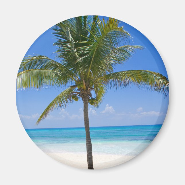 Aimant Palm des Bahamas (Devant)