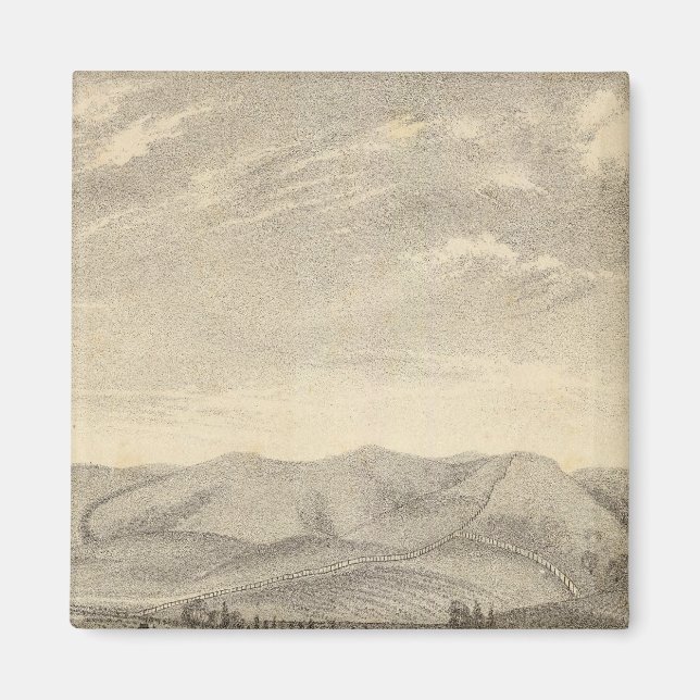 Aimant Palmer res, vignoble (Devant)