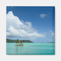 Palmier dans l'aimant lagon de Bora Bora