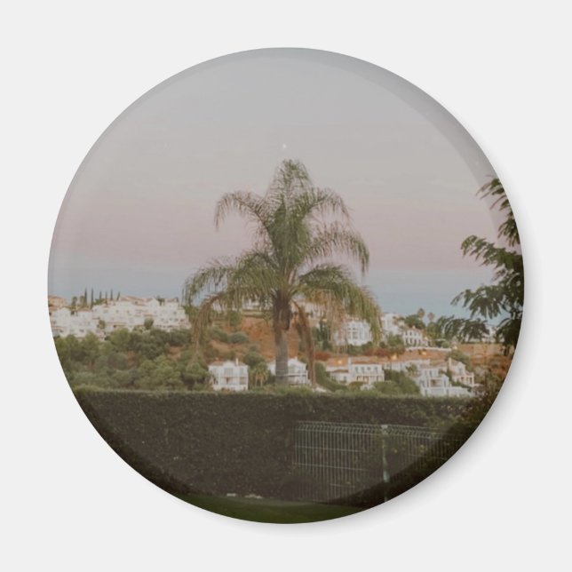 Aimant Palmier de Benhavis, Marbella, Andalousie, Espagne (Devant)