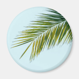 Aimant Palmier Vert Tropical sur Fond Bleu Clair