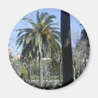 Aimant Palmiers à Malaga