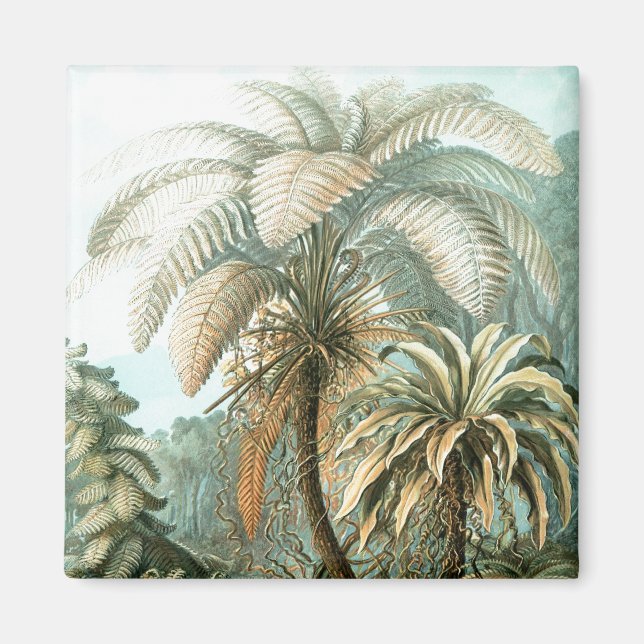 Aimant Palmiers de Haeckel (Devant)