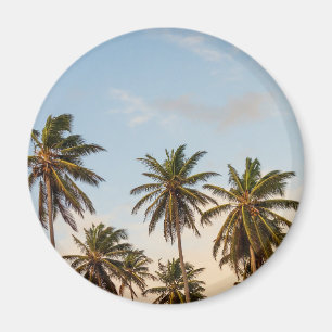 Aimant Palmiers de vacances tropicaux