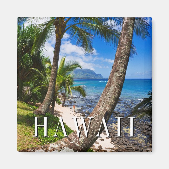 Aimant Palmiers le long de Hideaways Beach (Devant)