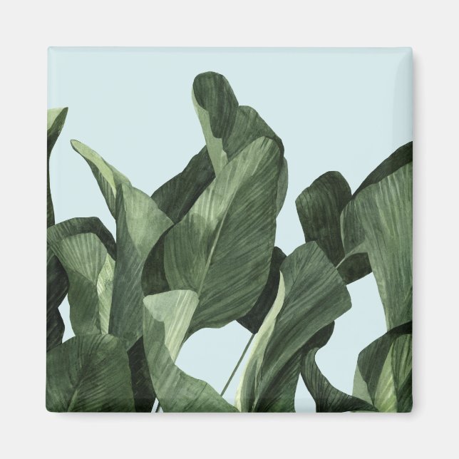 Aimant Palms Celadon (Devant)