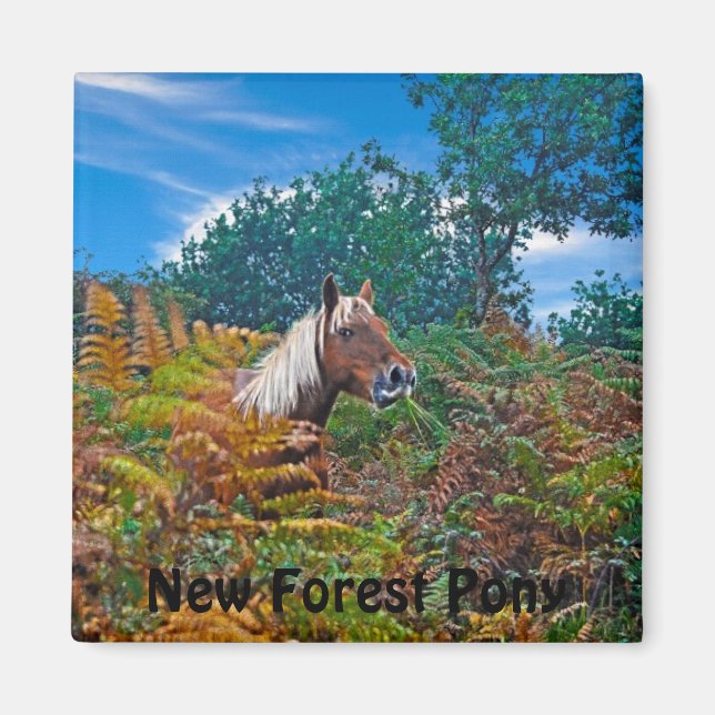 Aimant Palomino New Forest Pony Cheval-amant cadeau (Devant)