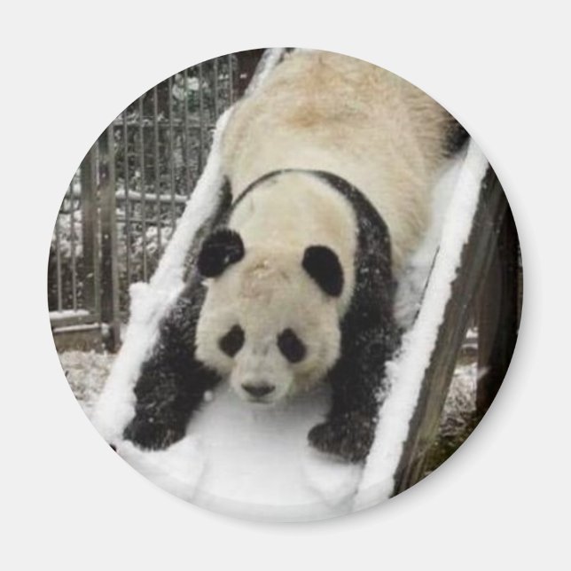 aimant panda (Devant)