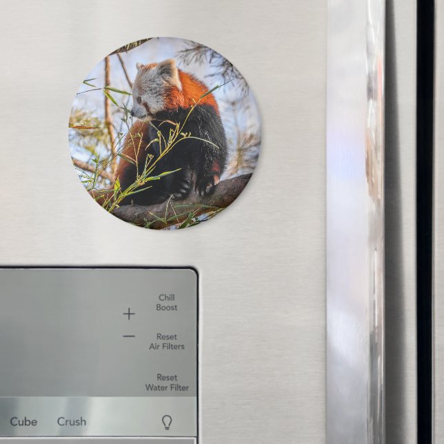 Aimant Panda rouge (In situ (réfrigérateur))
