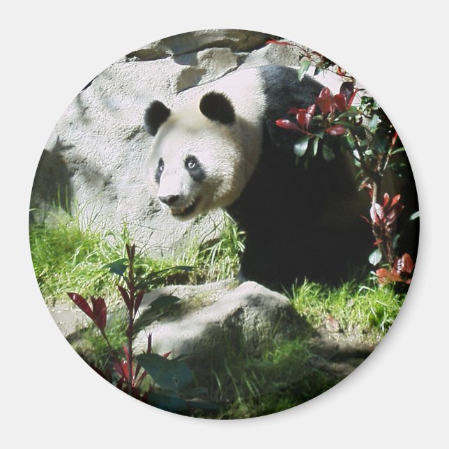 Aimant Panda Smile (Devant)