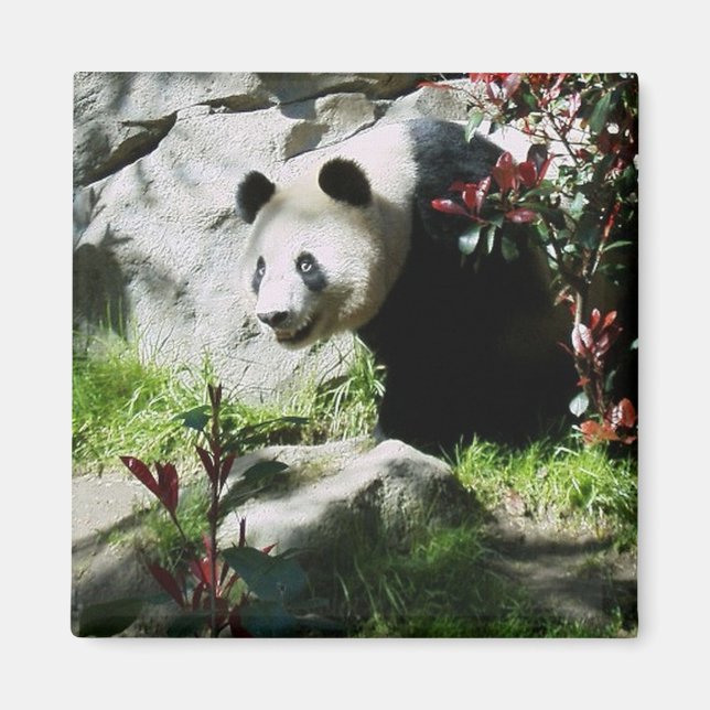 Aimant Panda Smile (Devant)