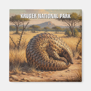 Aimant Pangolin dans le parc national Kruger Afrique du S