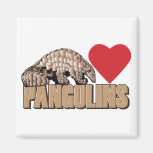 Aimant Pangolins-Coeur