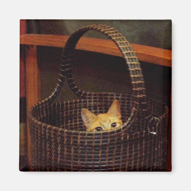 Aimant Panier Coque (Devant)