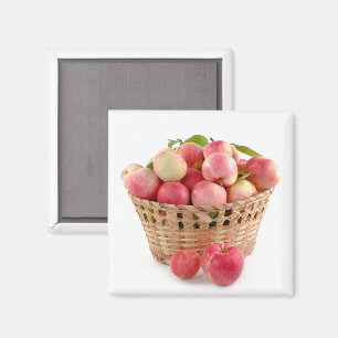 Aimant Panier de pommes, récolte, automne
