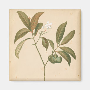 Aimant Panneau Décor Cobalt I