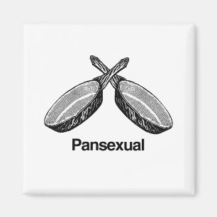 Aimant Pansexual -