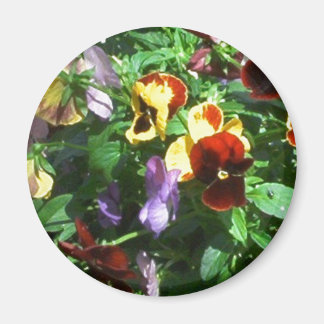 Aimant Pansies