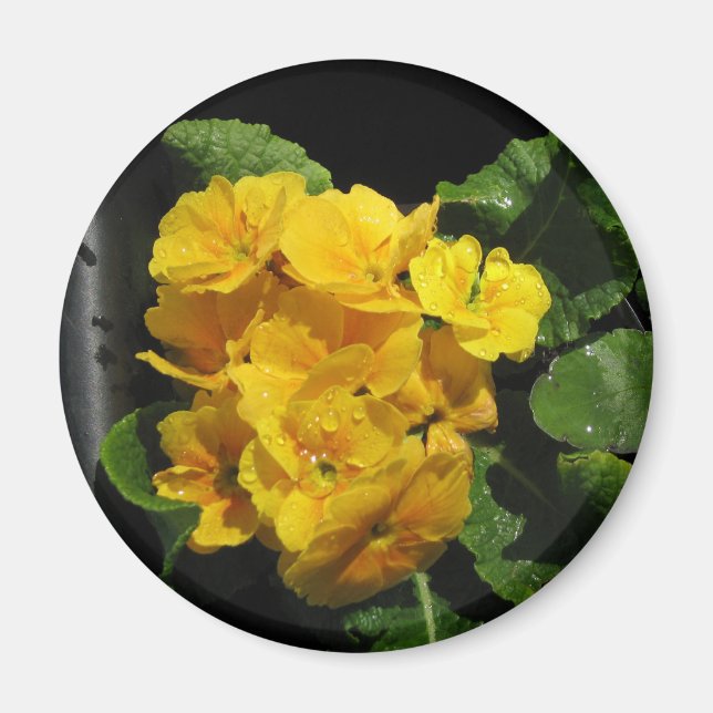 Aimant Pansies jaunes (Devant)