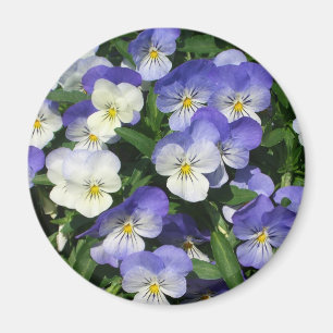 Aimant Pansies violettes Jardin Floral