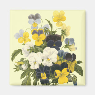 Aimant Pansy Violets Botanique Art