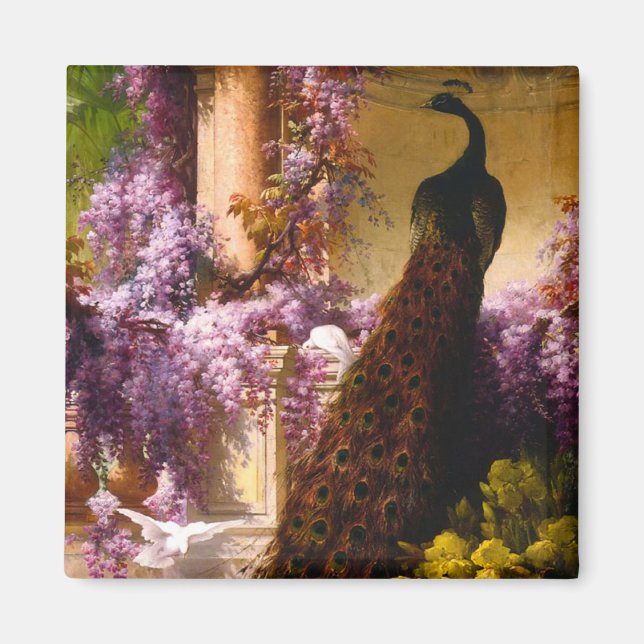 Aimant Paon et colombes dans un jardin (Devant)