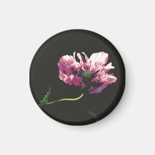 Aimant Papaver Sugarplum