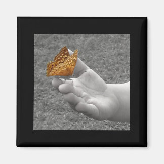 Aimant Papillon