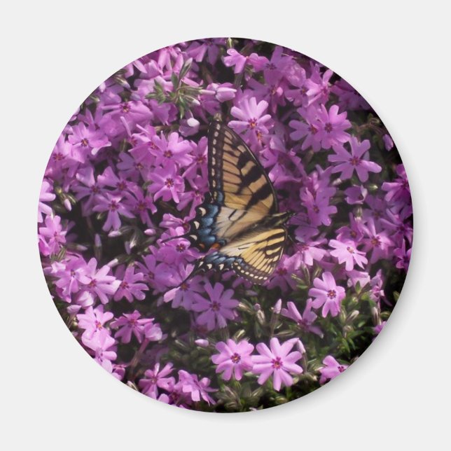 Aimant Papillon (Devant)