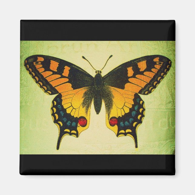 aimant papillon (Devant)