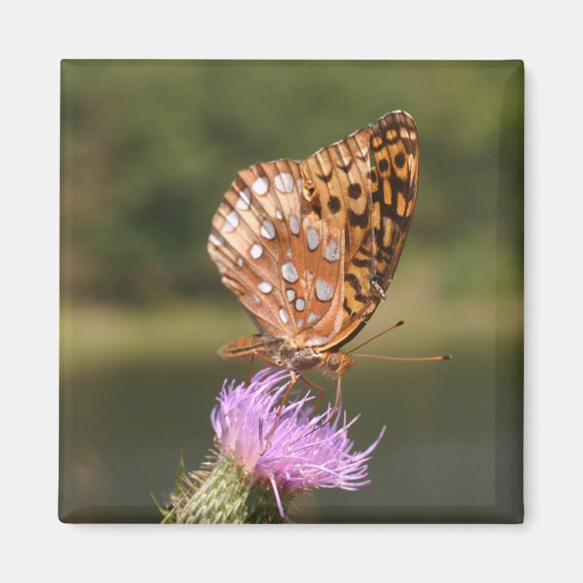 Aimant Papillon (Devant)