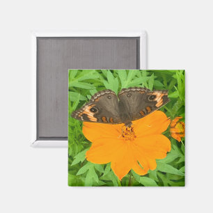 Aimant Papillon