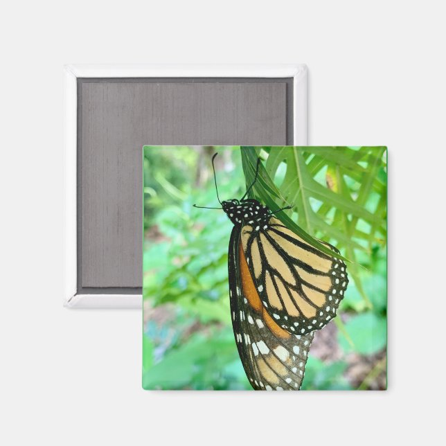 Aimant papillon (Recto/Verso)