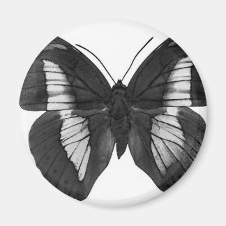 Aimant Papillon
