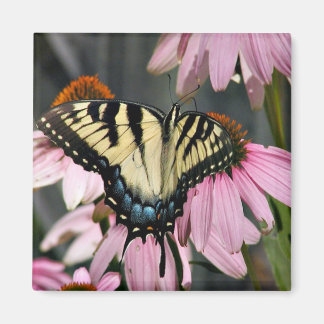 Aimant papillon