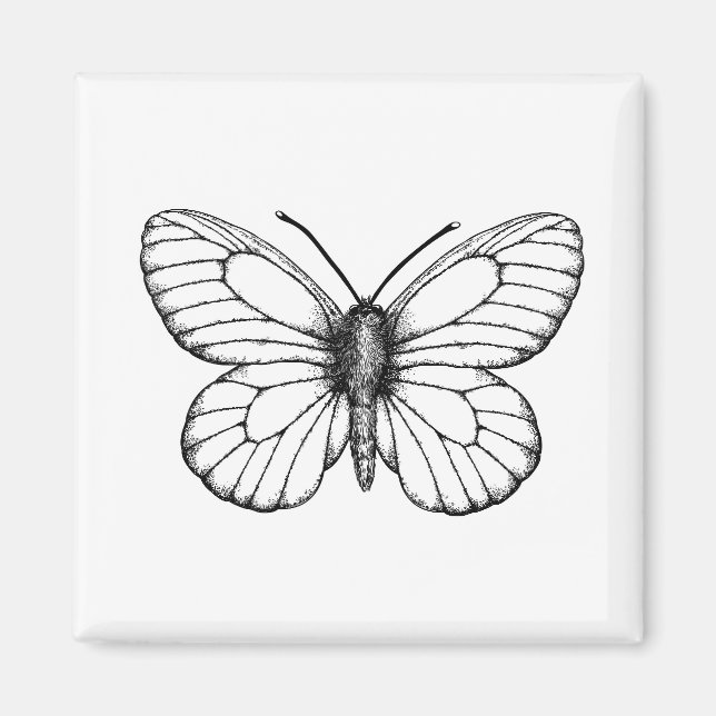 Aimant Papillon blanc à veine noire (Devant)